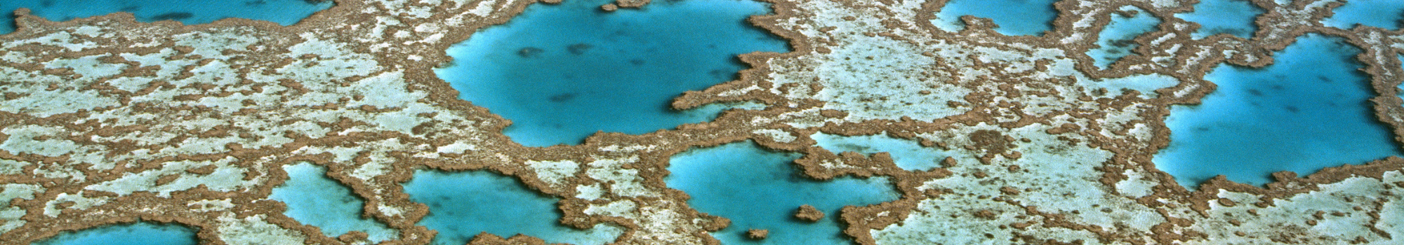Great Barrier Reef in Australië
