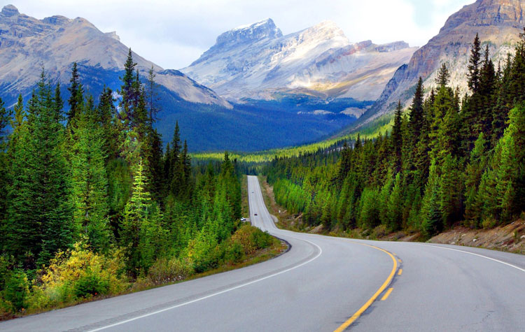 Icefield Parkway Alberta | Rondreis Canada