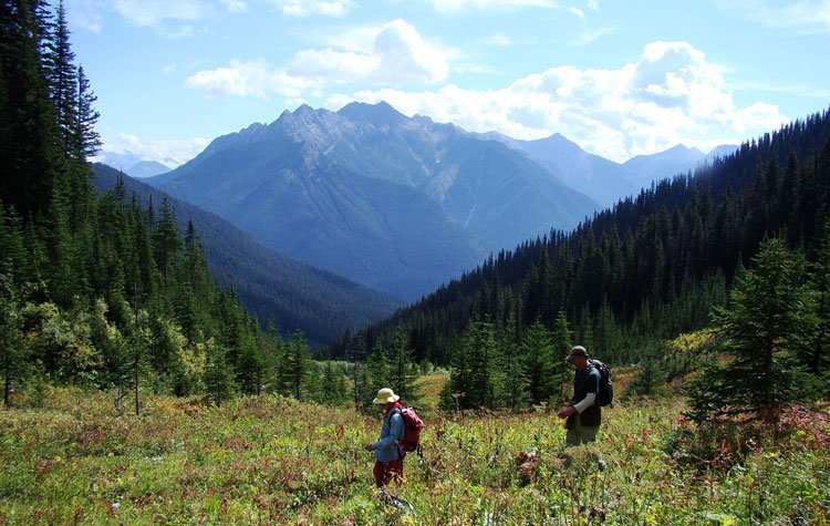 Kootenay NP BC | Rondreis Canada