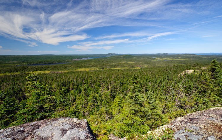 Terra Nova NP Newfoundland | Rondreis Canada