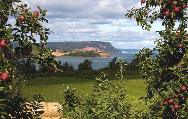 Annapolis Royal Landschap Nova Scotia | Rondreis Canada