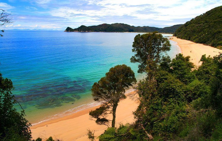 Abel Tasman NP | Rondreis Nieuw Zeeland