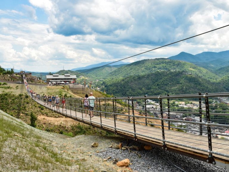 Hoogtepunten | WRC Reizen