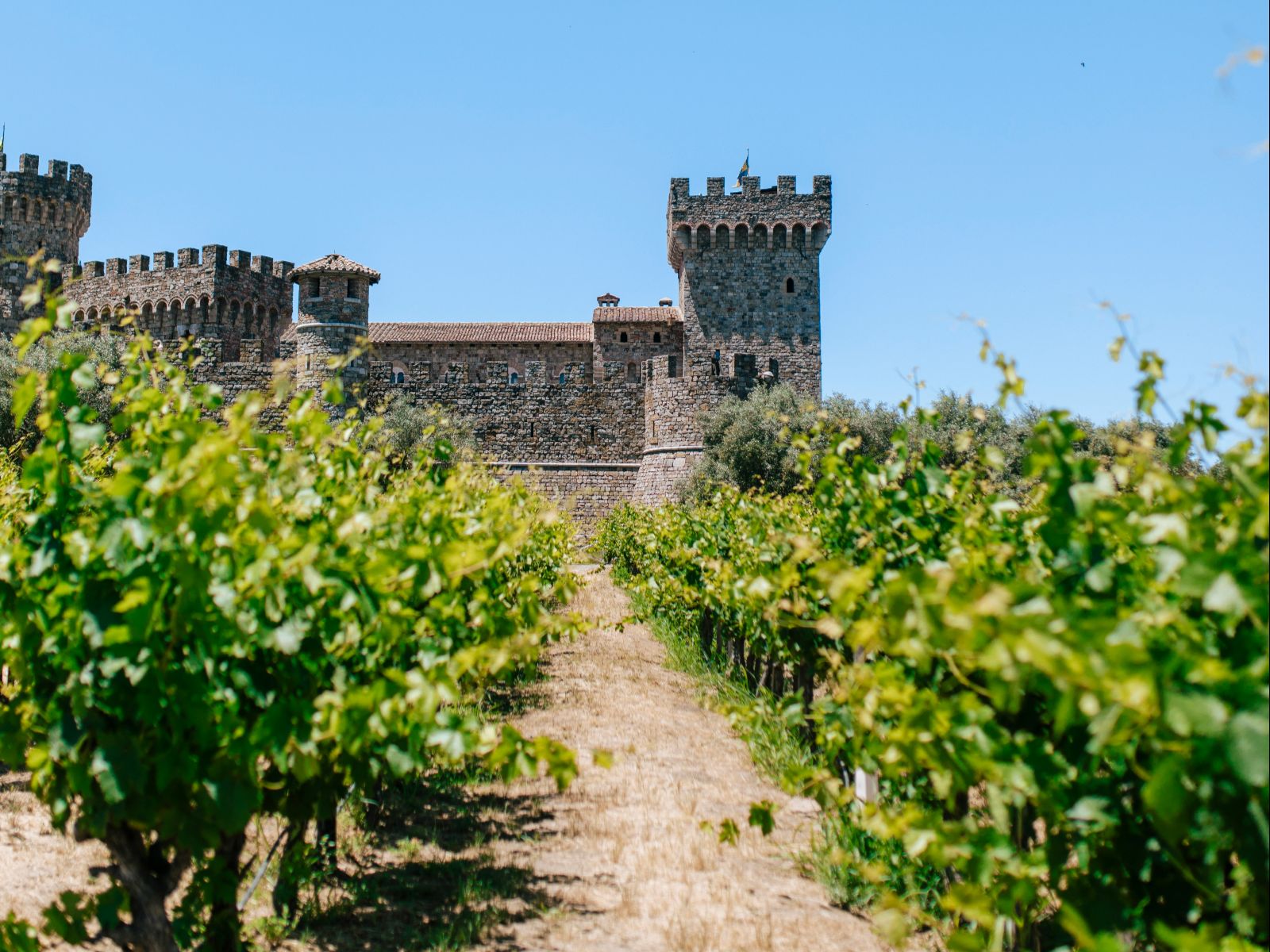 Rondreis Amerika, Napa Valley, kasteel met wijngaarden
