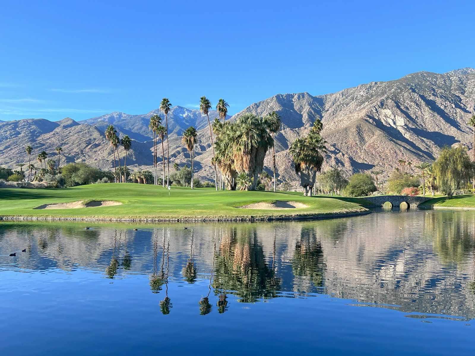 Rondreis Amerika, Palm Springs, golfbaan