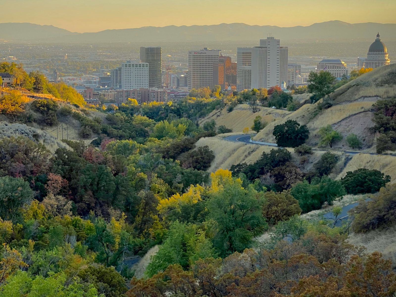 Rondreis Amerika, Salt Lake City, bomen voor stadsgebouwen