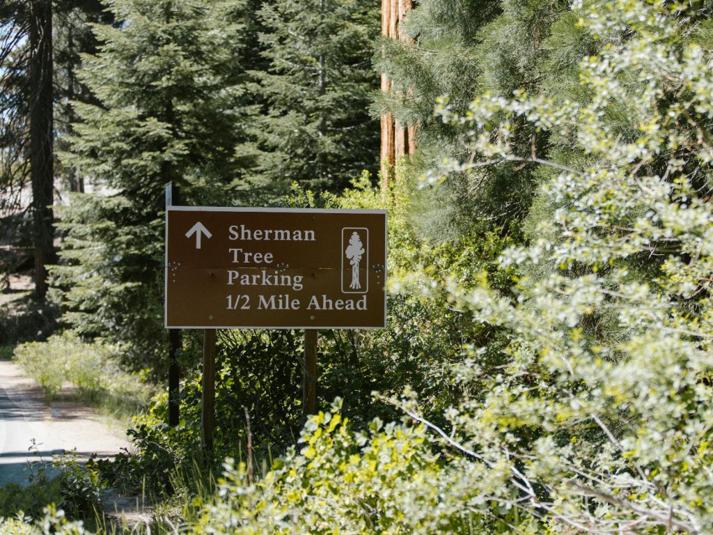 Hoogtepunten | WRC Reizen