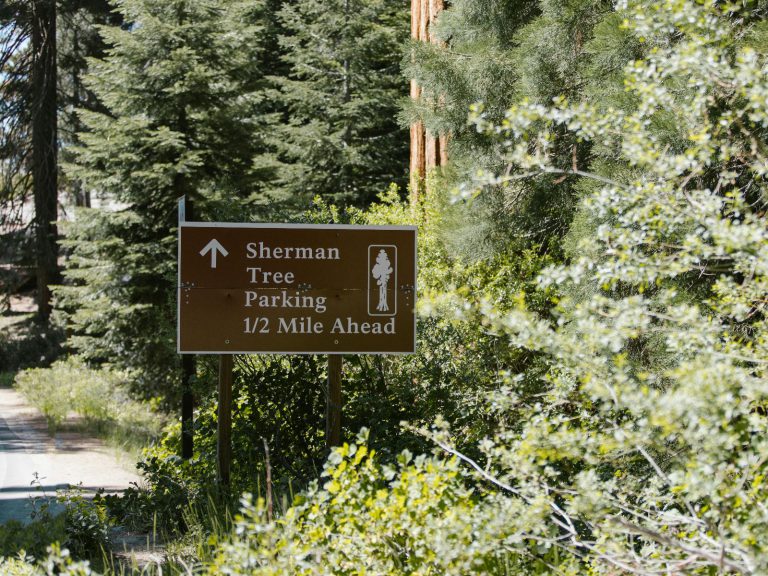 Hoogtepunten | WRC Reizen