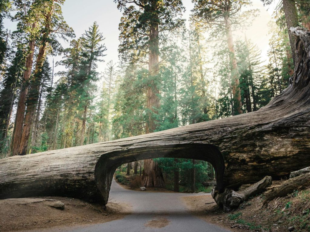 Hoogtepunten | WRC Reizen