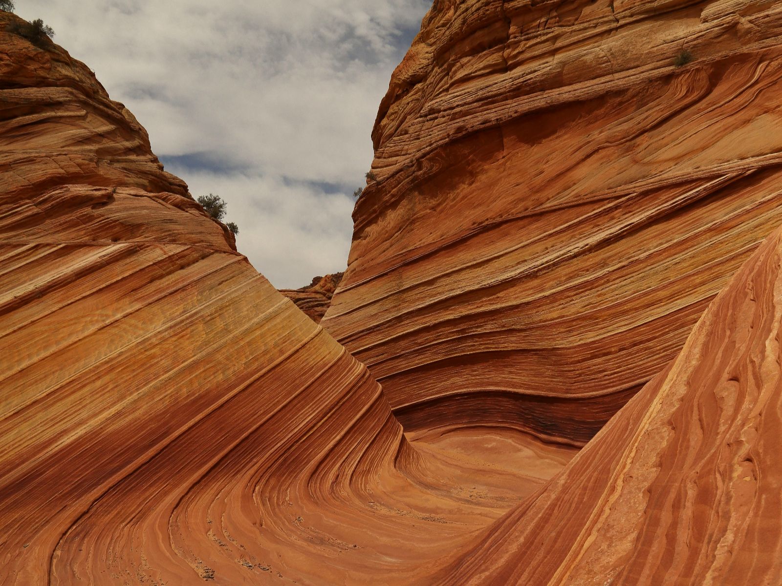 Rondreis Amerika, kanab, Wave rotsen