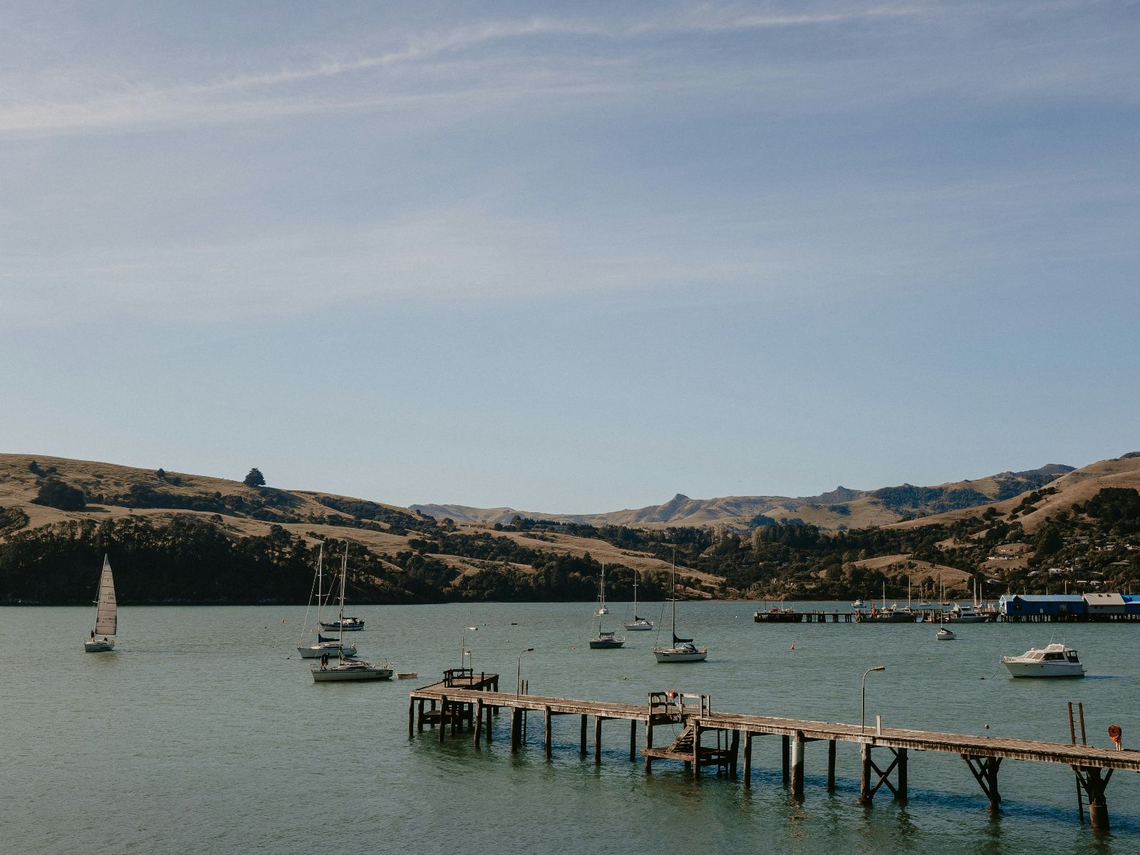 Rondreis Nieuw Zeeland, Akaroa, haven