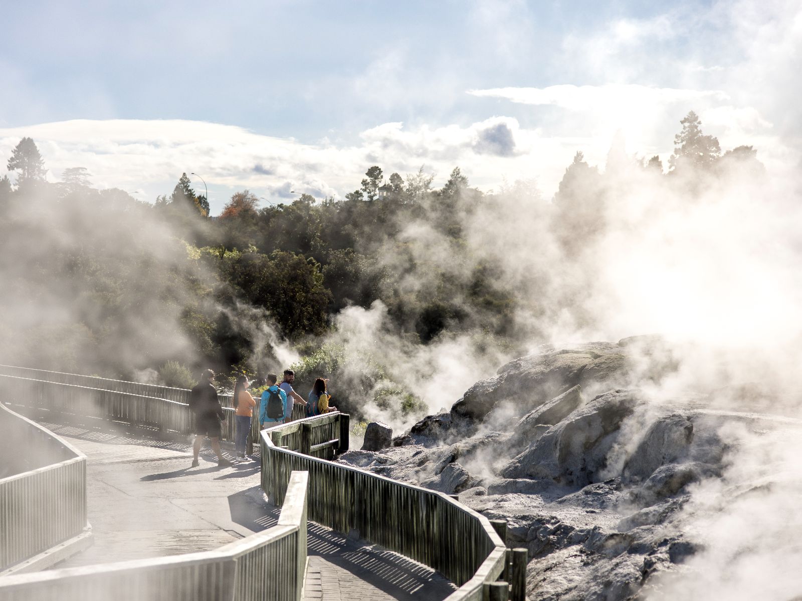 Rondreis Nieuw-Zeeland, Rotorua, wandelaars bij een vallei, Beeldbank Pure New Zealand