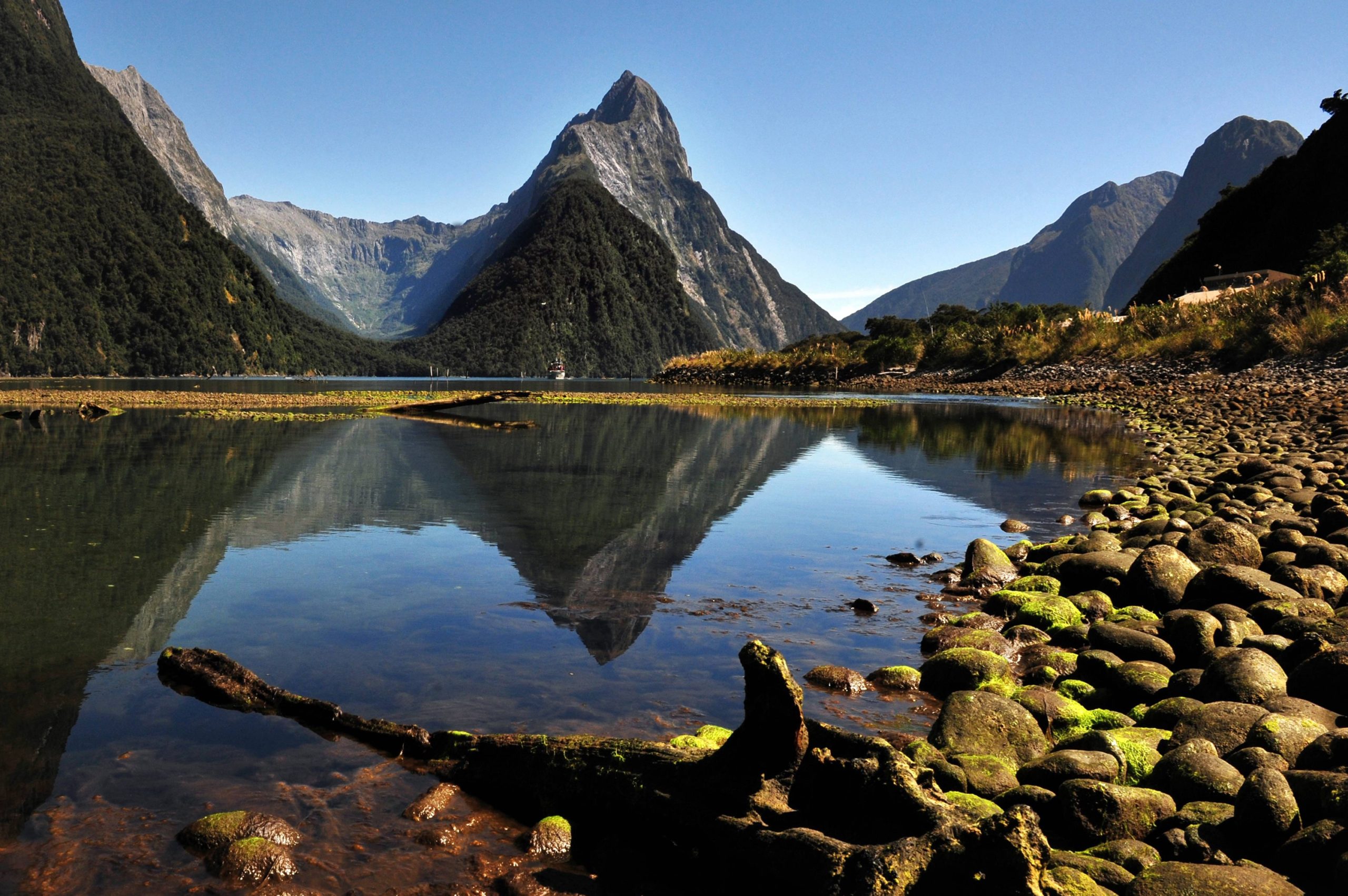 Milford Sound | Rondreis Nieuw-Zeeland