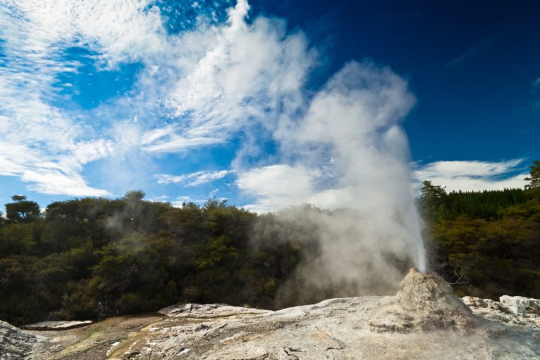 Excursies | WRC Reizen