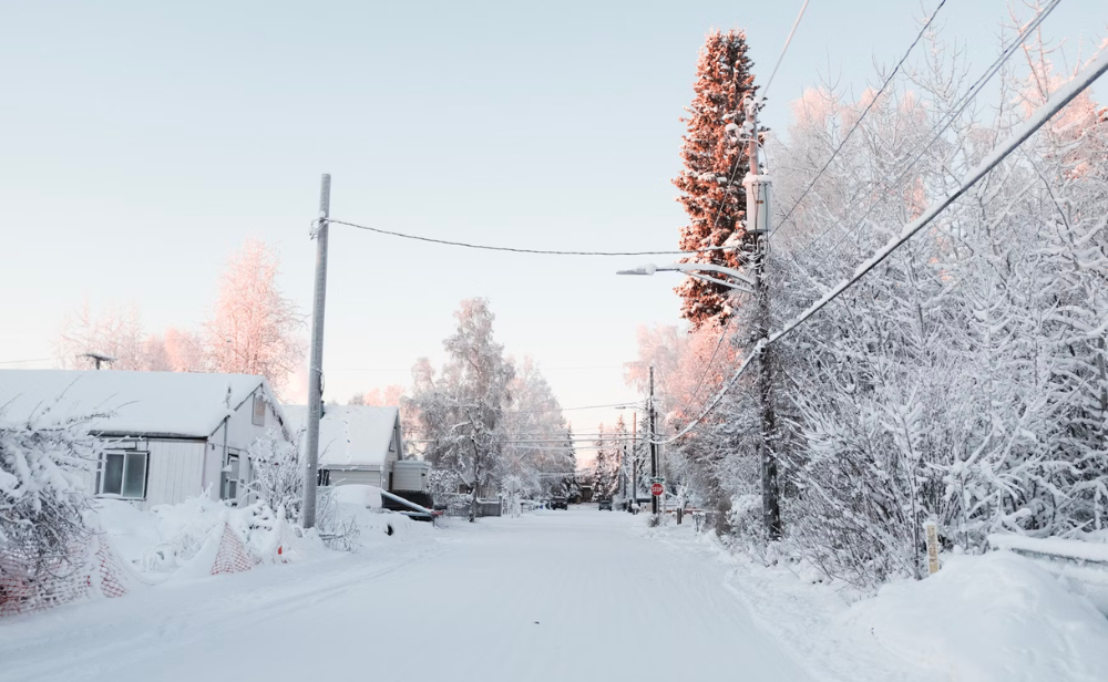 Alaska Fairbanks Canada | Rondreis Canada
