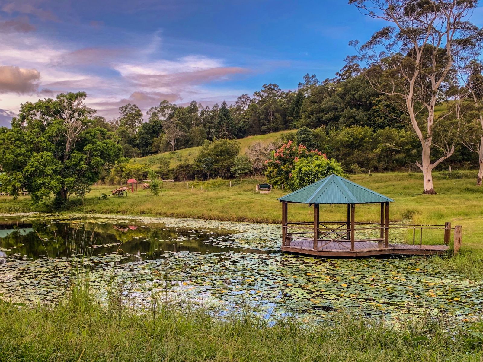 Rondreis Australië, Eungella National Park, vijver