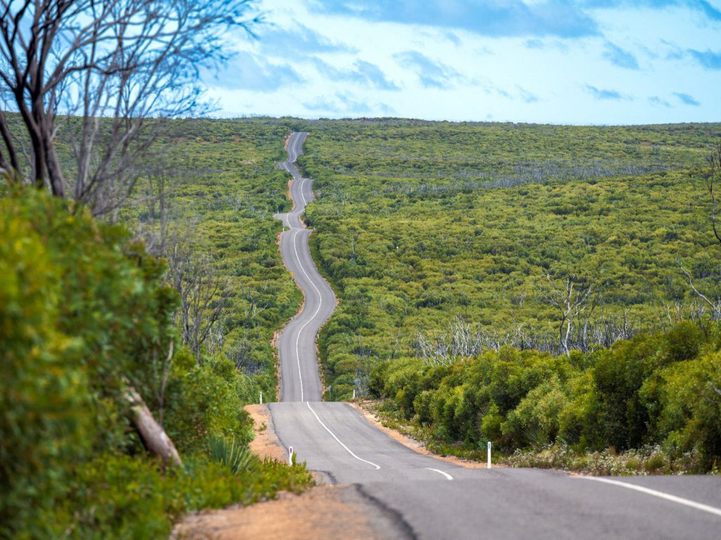 Hoogtepunten | WRC Reizen