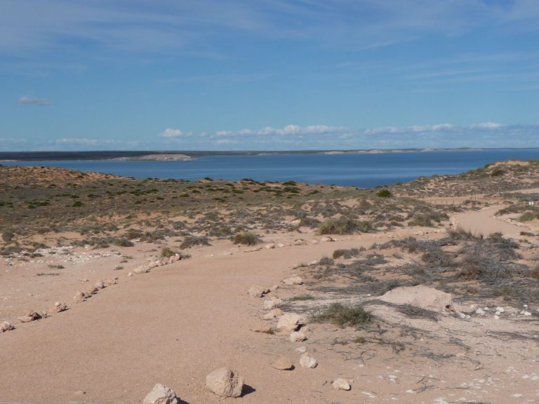 Hoogtepunten | WRC Reizen