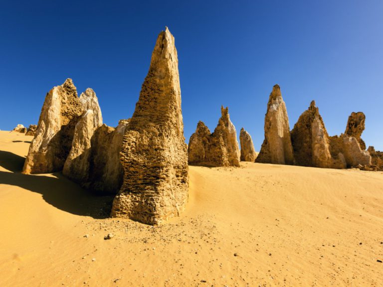 Hoogtepunten | WRC Reizen
