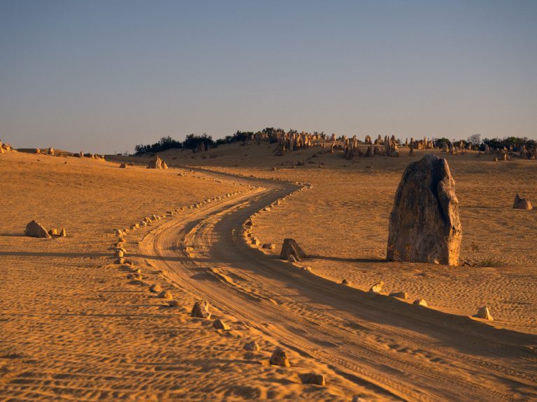 Hoogtepunten | WRC Reizen