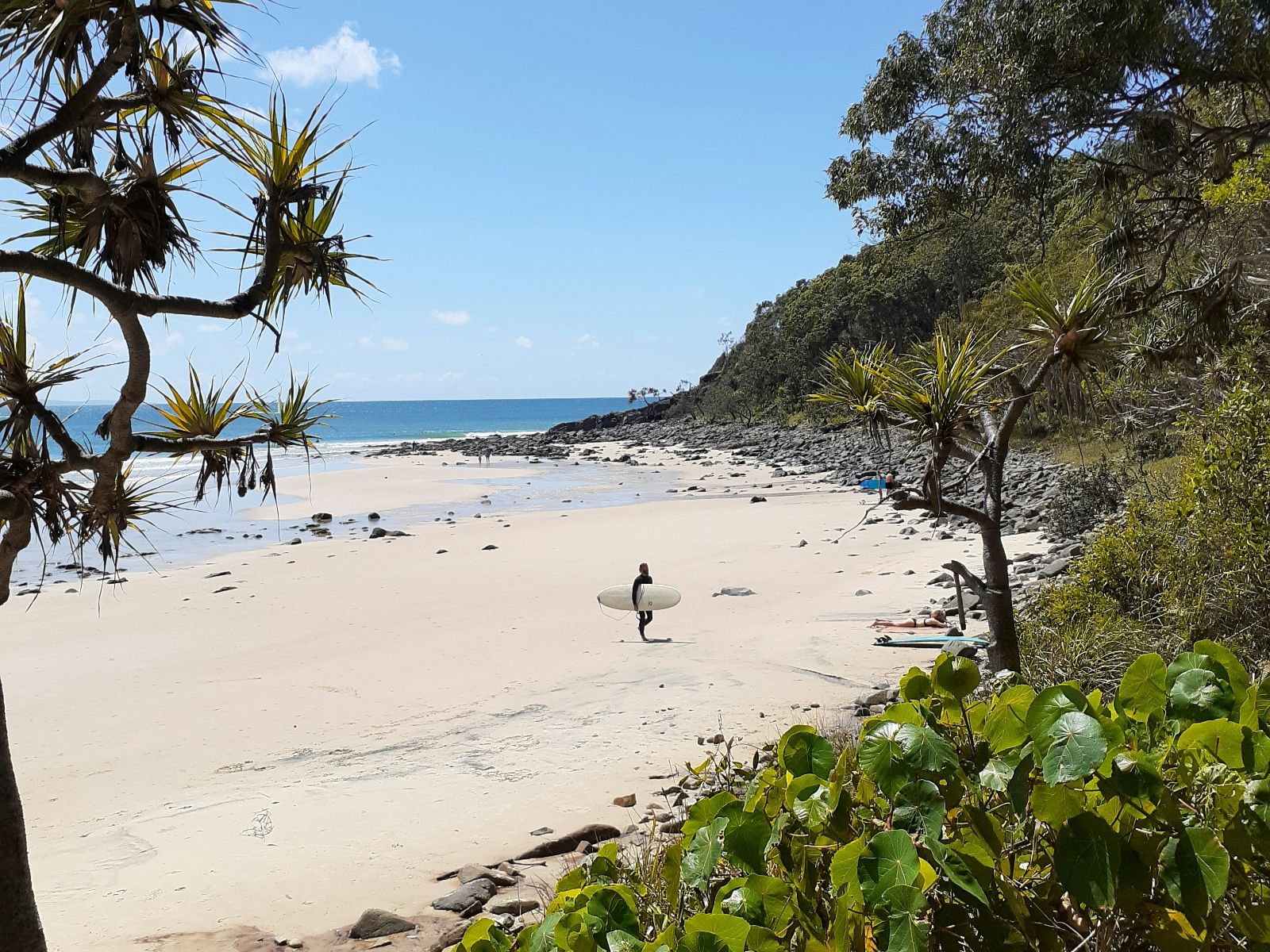 Rondreis Australië, Noosa en the Sunshine Coast, surfer op het strand