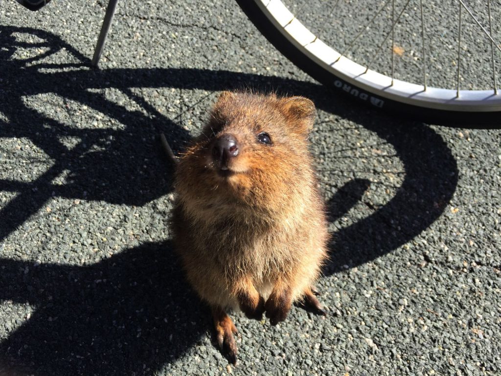 Hoogtepunten | WRC Reizen