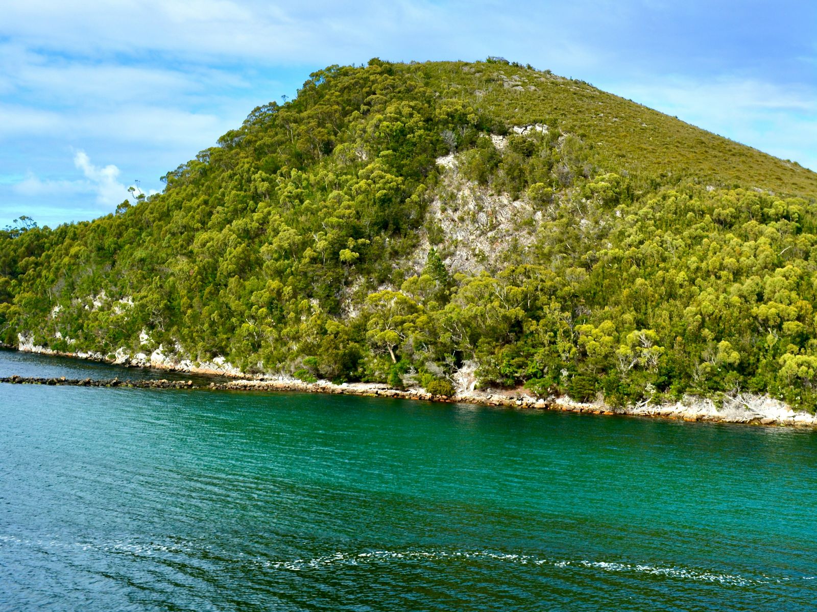 Rondreis Australië, Strahan, Groene berg op water