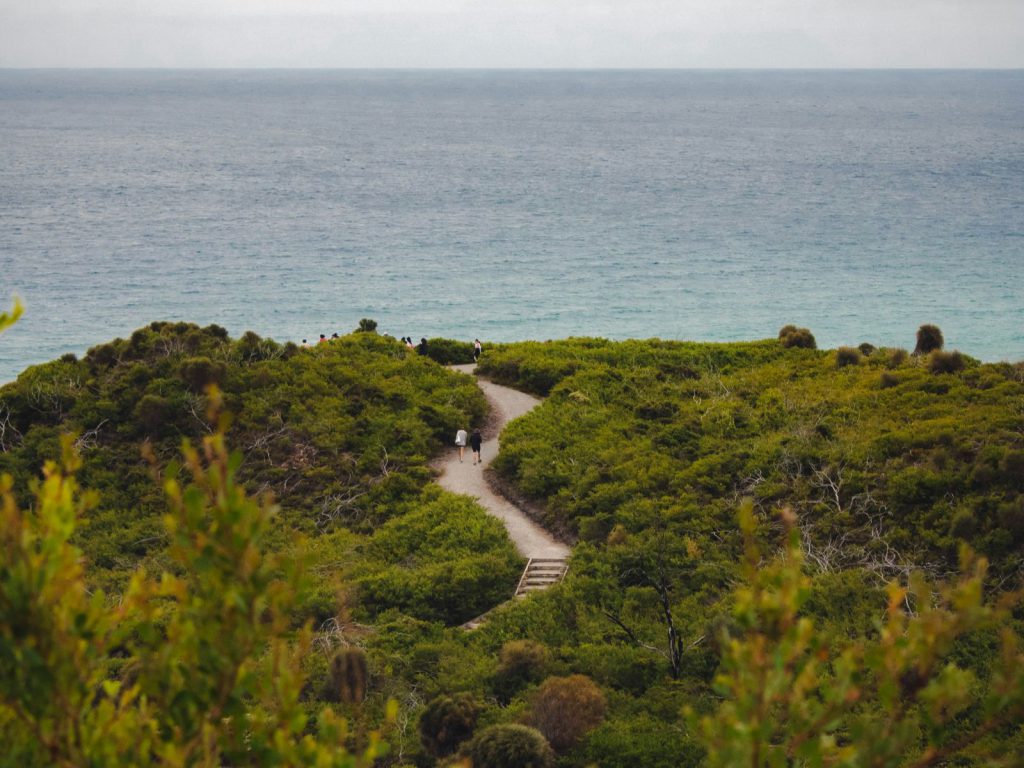 Hoogtepunten | WRC Reizen