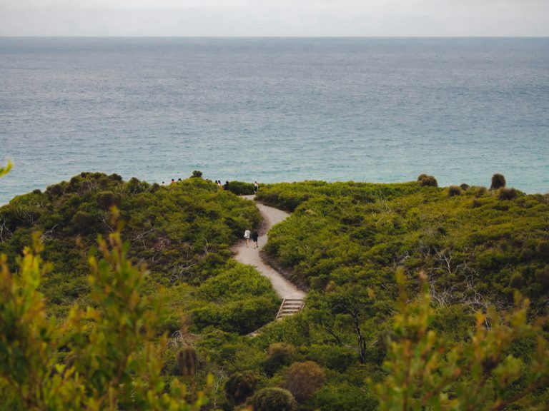 Hoogtepunten | WRC Reizen