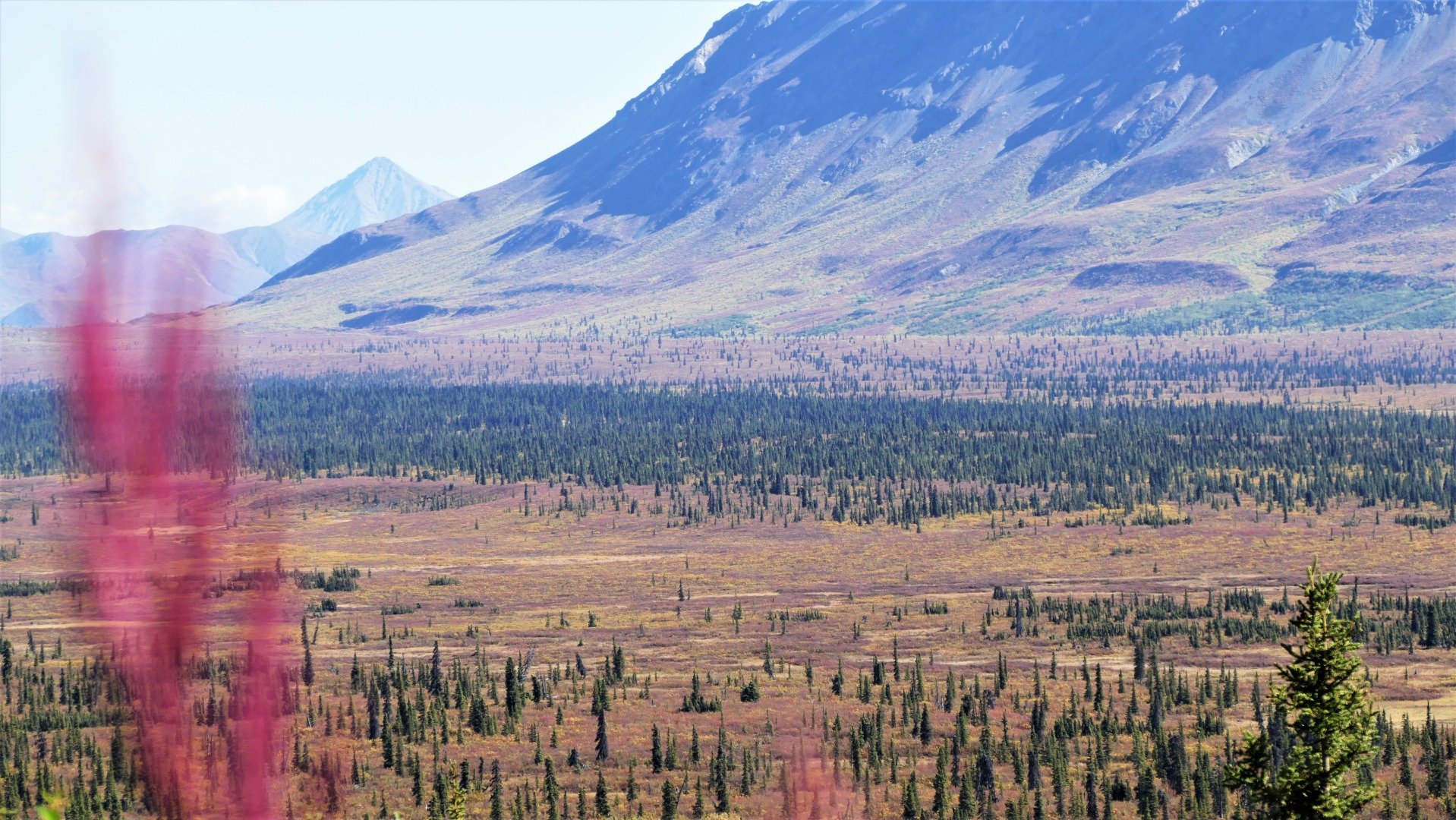 Alaska Glenn Highway | Rondreis USA