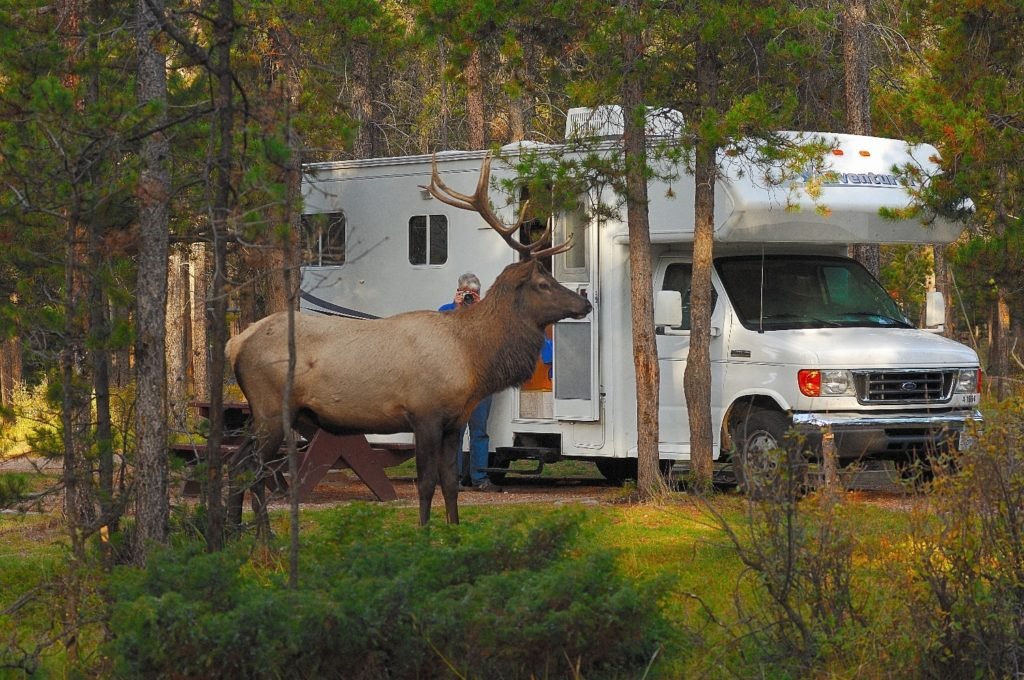 Camper Hert Canada | Rondreis Canada