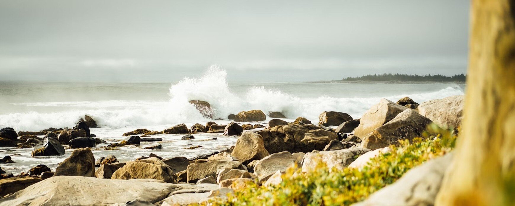 White Point | Canada