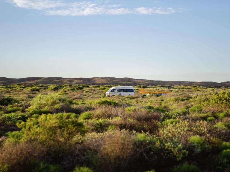 Hoogtepunten | WRC Reizen