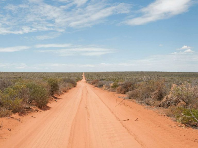Hoogtepunten | WRC Reizen