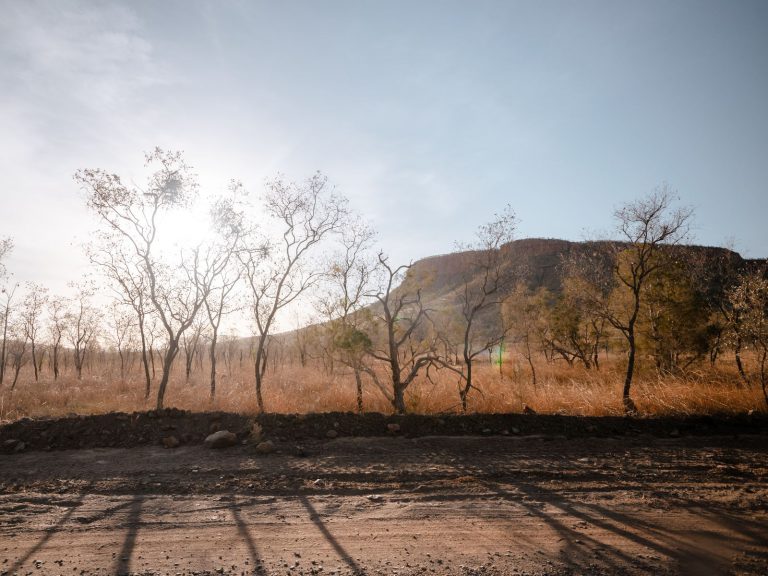 Hoogtepunten | WRC Reizen