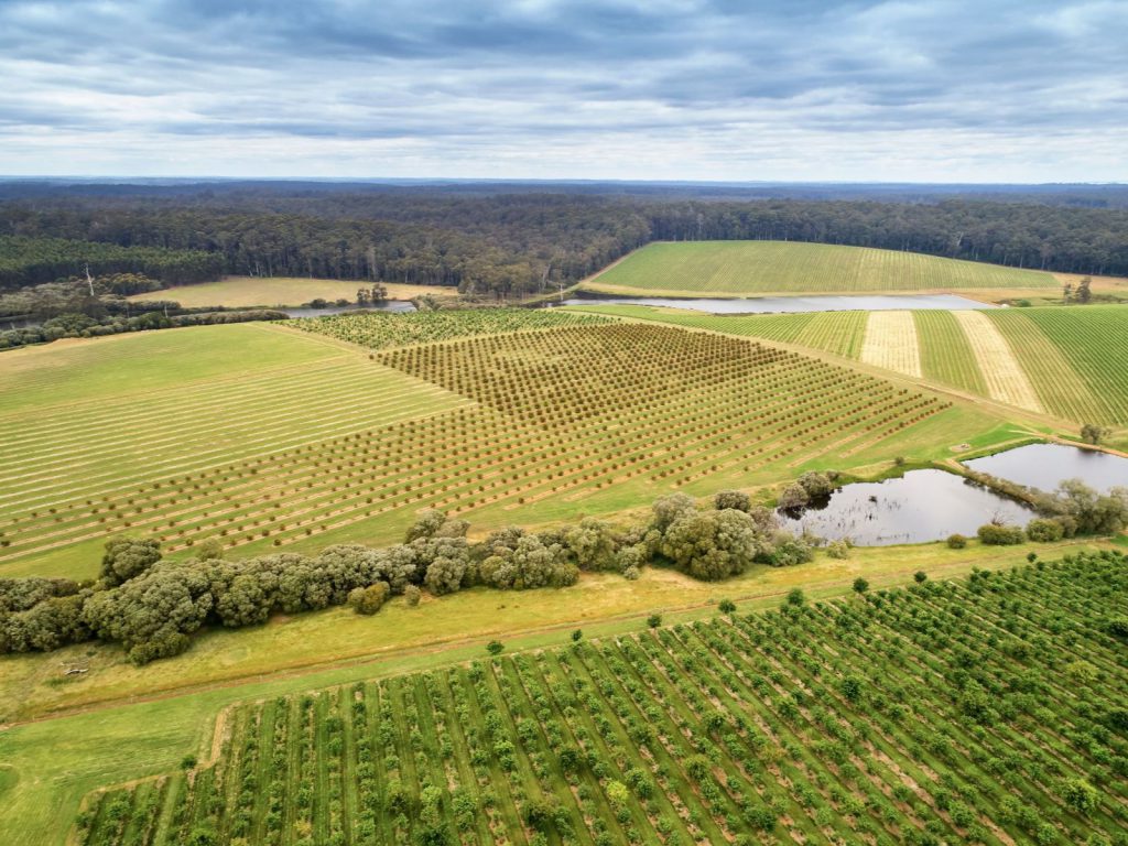 Hoogtepunten | WRC Reizen