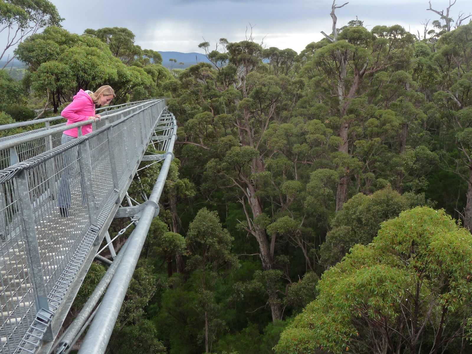 Rondreis Australië, Pemberton, Joanne bij treetop walk