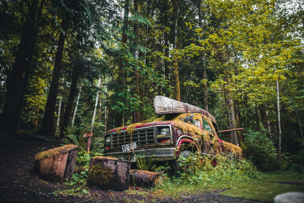 Hoogtepunten | WRC Reizen
