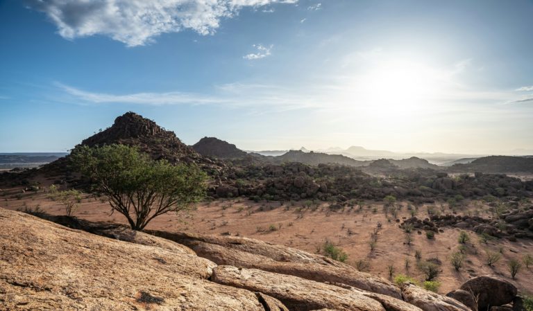 Hoogtepunten | WRC Reizen