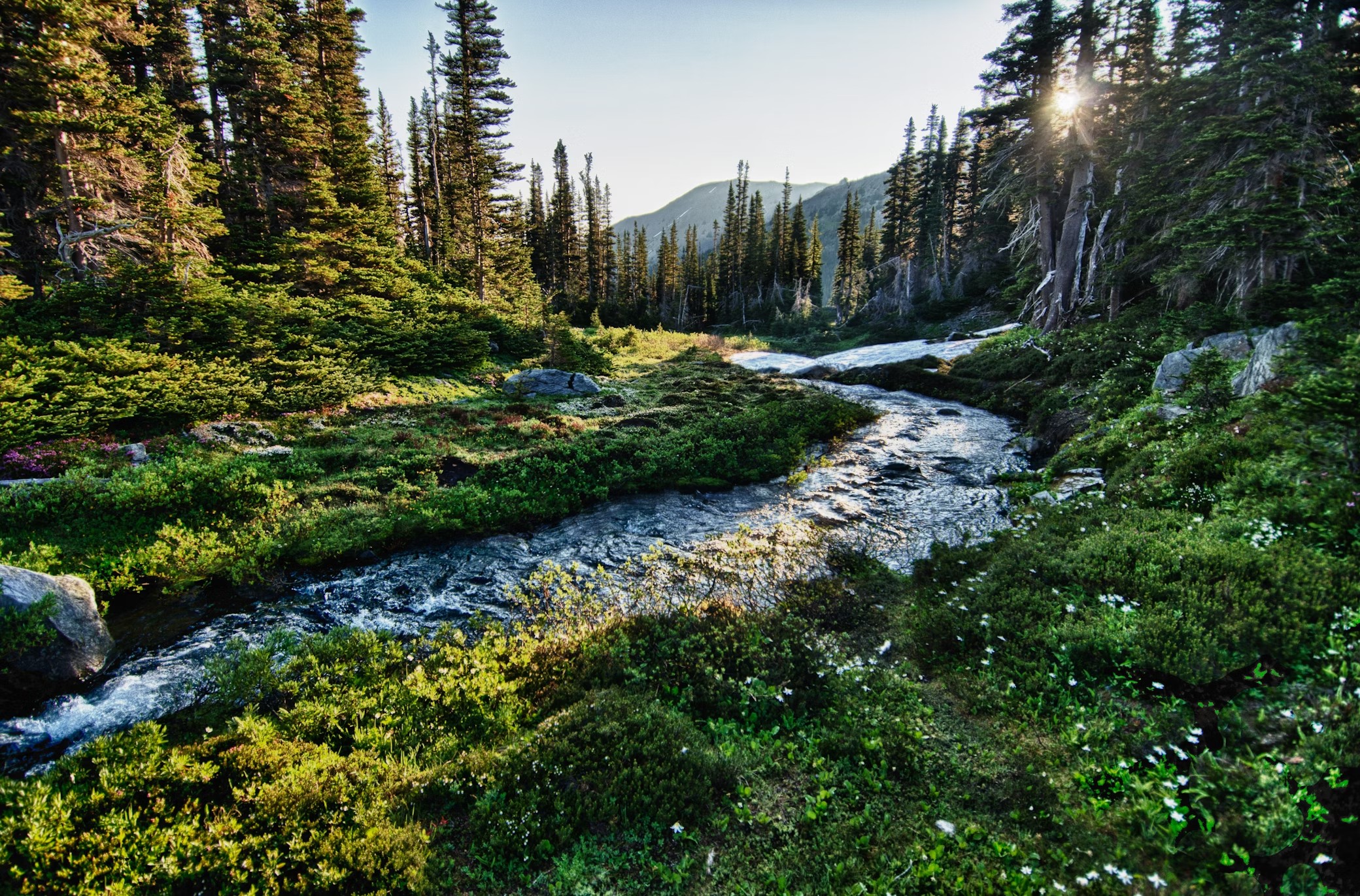 Olympic National Park | USA