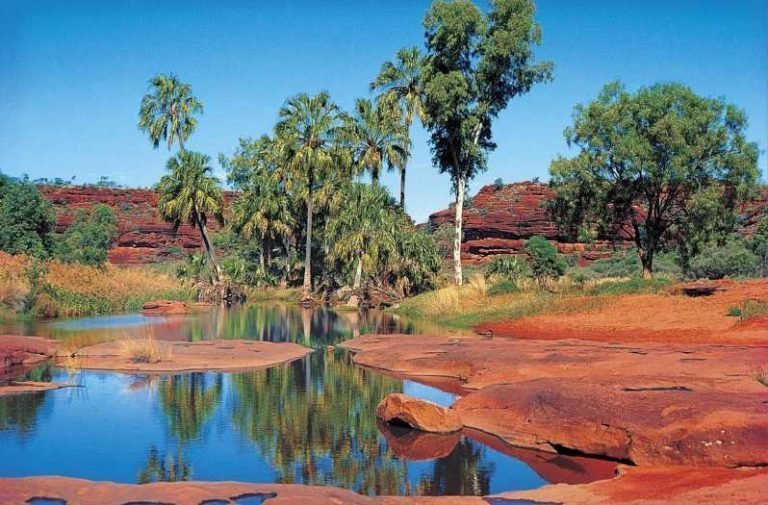 Excursies | WRC Reizen