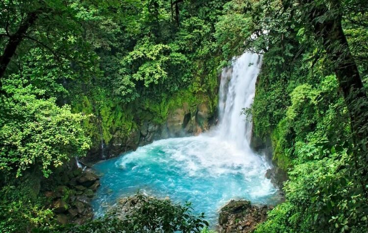 Tenorio | Costa Rica