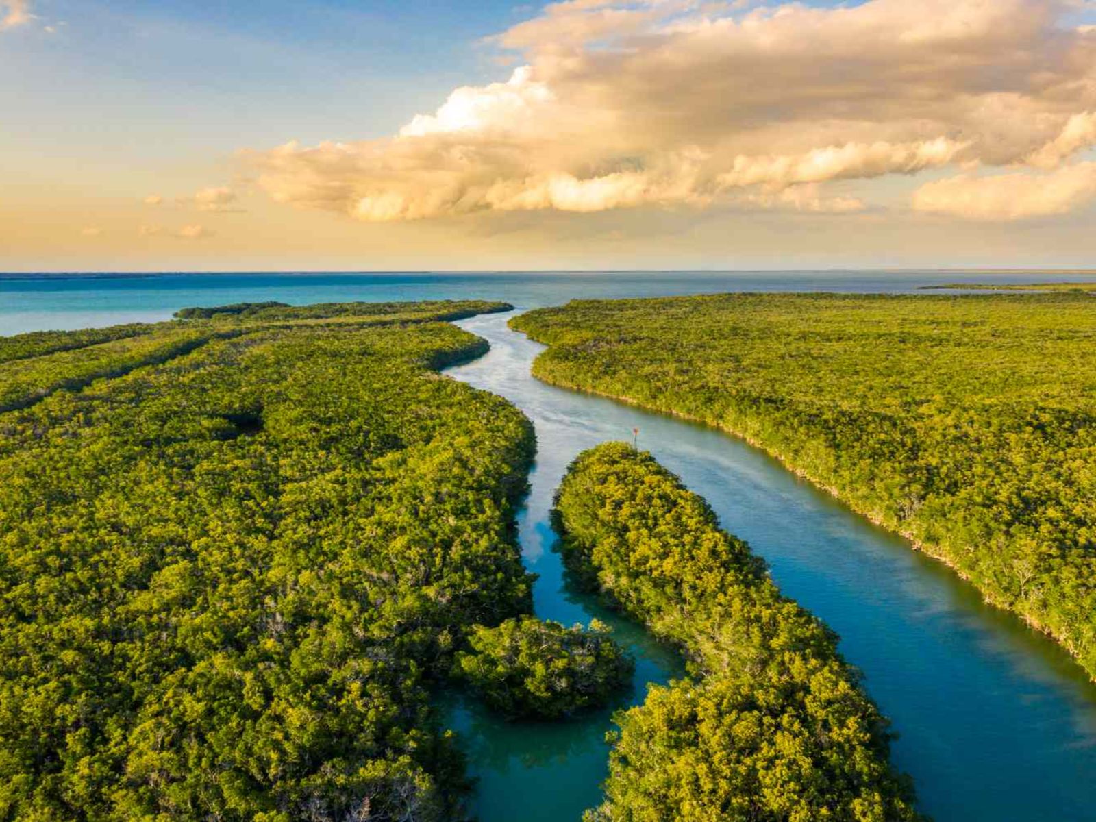 Rondreis Amerika, Everglades, Groen landschap met water