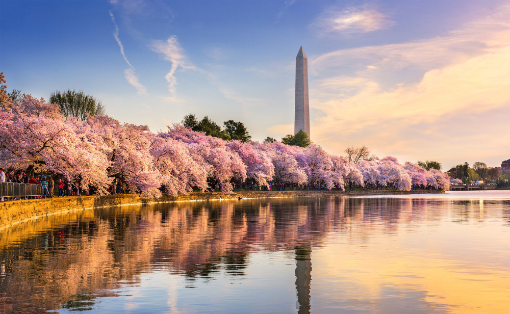 Washington1 | Citytrip