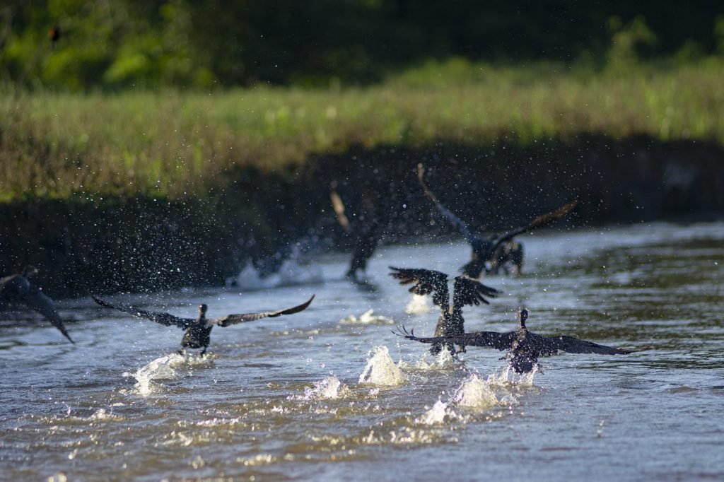 Hoogtepunten | WRC Reizen