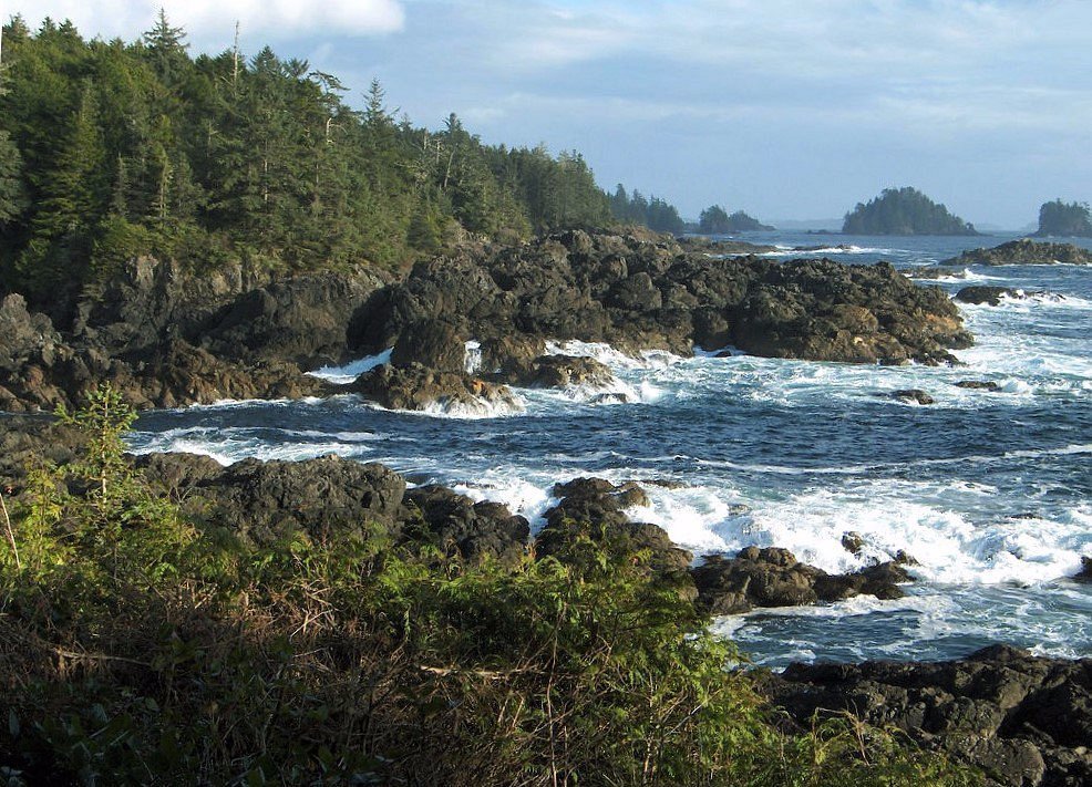 Pacific Rim National Park - camperreis West-Canada