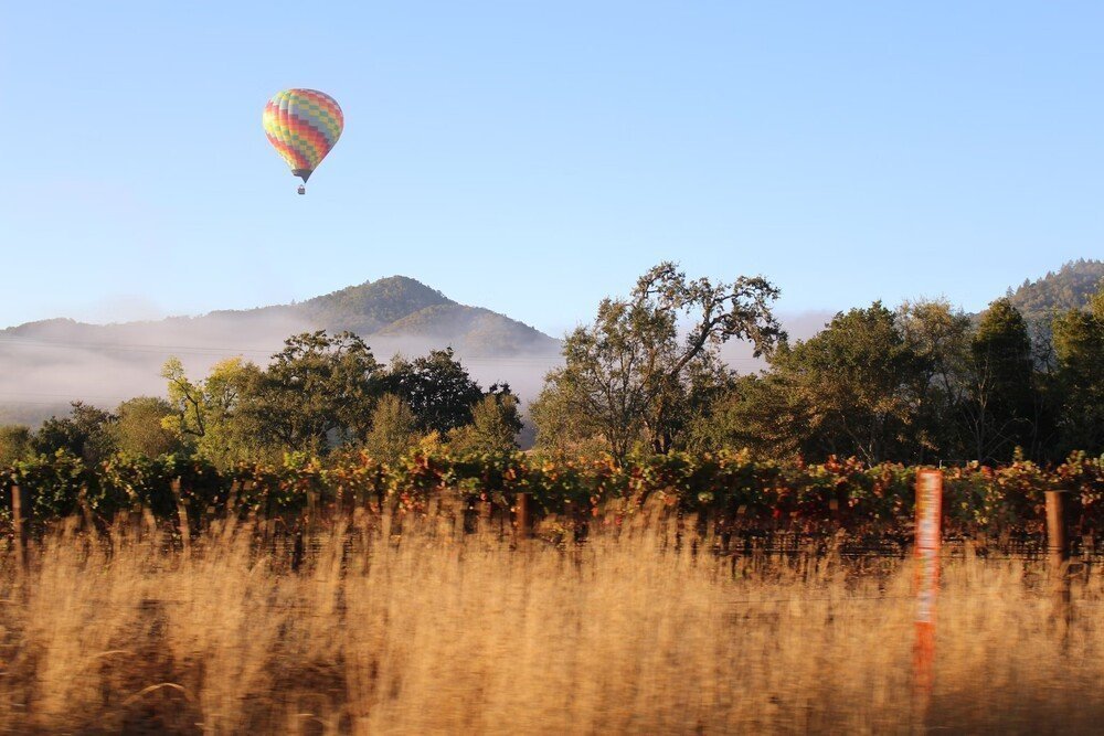 Napa Valley | USA