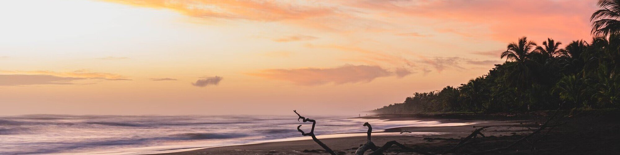 Banner Turrialba | Costa Rica