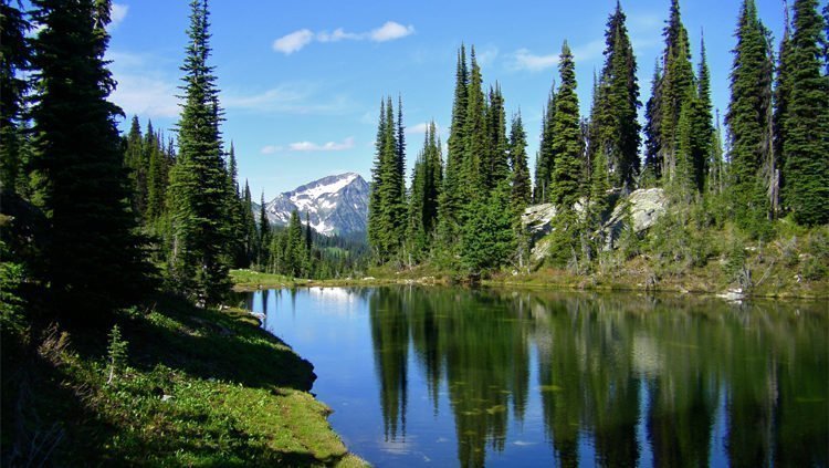 Rondreis Canada, Mount Revelstoke National Park, meer met uitzicht