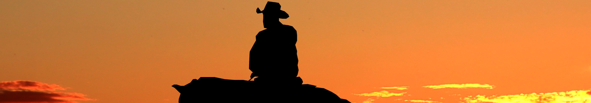 Man op een paard met een zonsondergang op de achtergrond